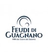 Feudi di Guagnano